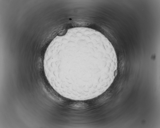 X0000115480459200912181213