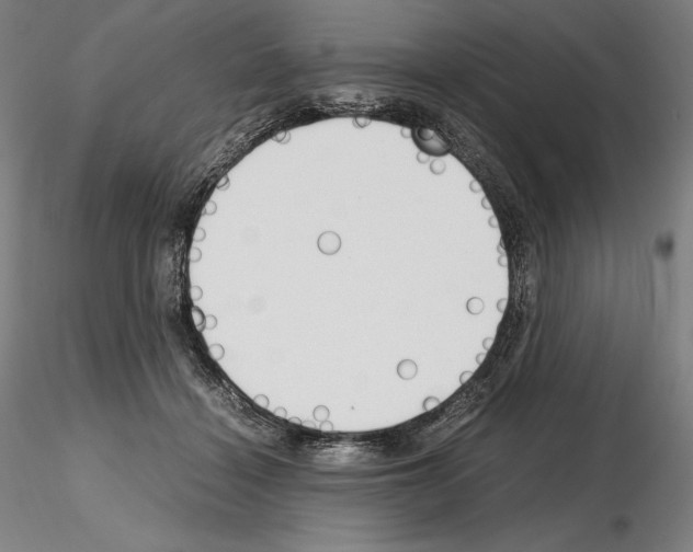 X0000115480460200912181213