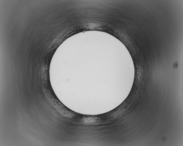 X0000115480461200912181213