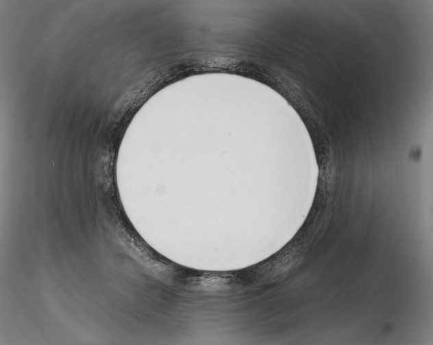 X0000115480462200912181213