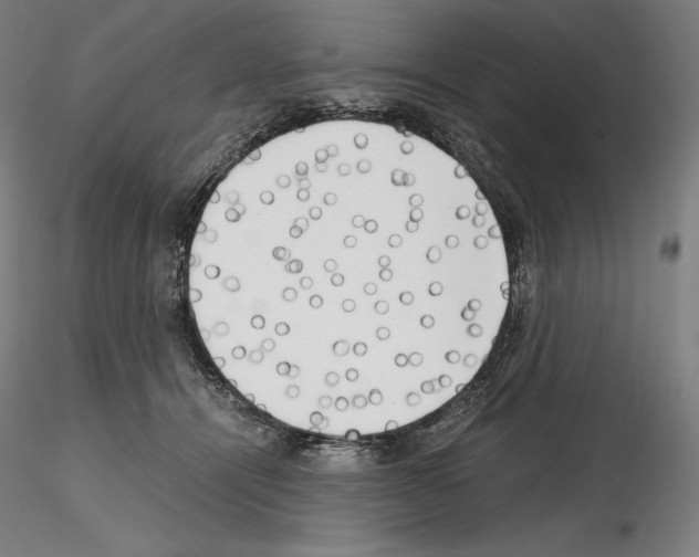 X0000115480464200912181213