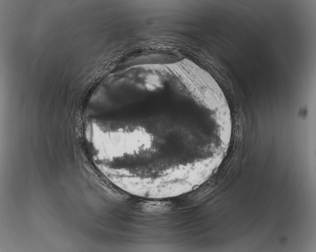 X0000115480465200912181213