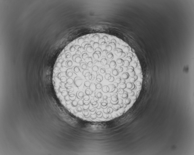 X0000115480466200912181213