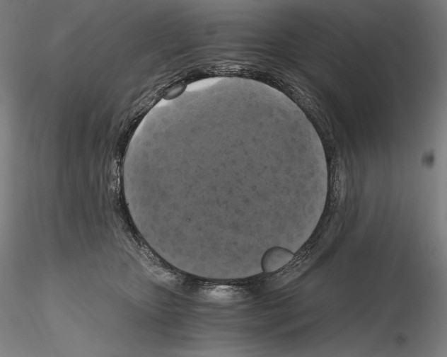 X0000115480467200912181213