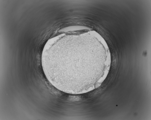 X0000115480469200912181213