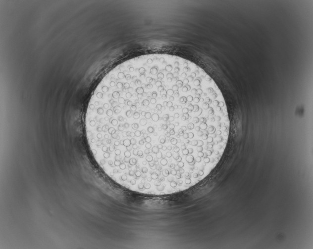 X0000115480470200912181213