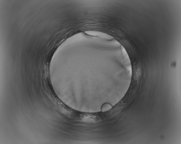X0000115480471200912181213