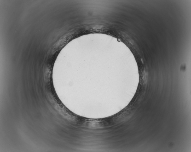 X0000115480472200912181213