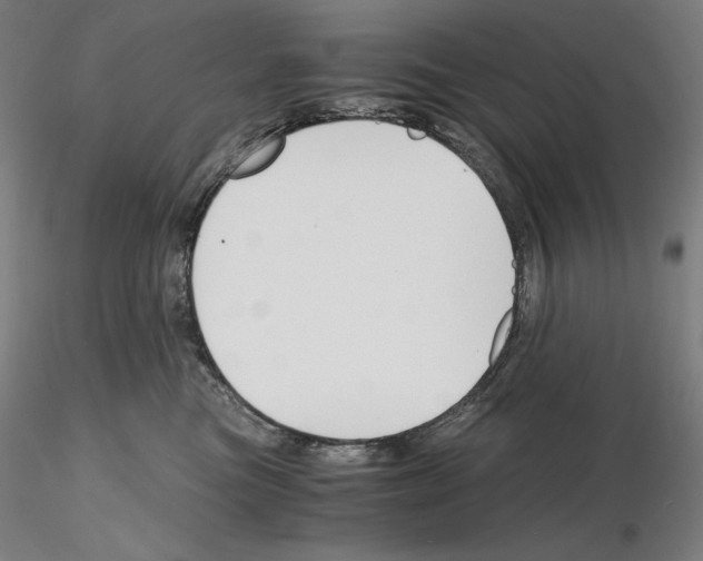 X0000115480473200912181213