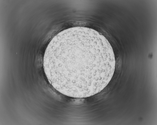 X0000115480474200912181213