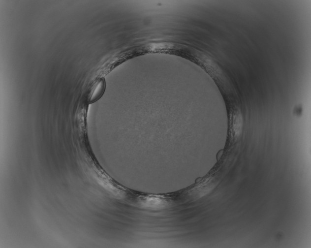X0000115480475200912181213
