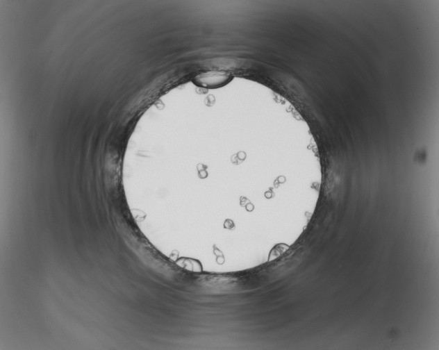 X0000115480476200912181213