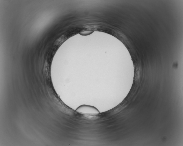 X0000115480477200912181213