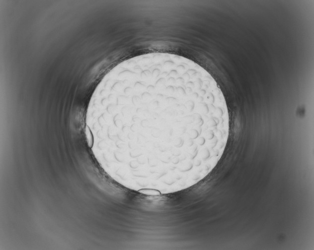 X0000115480478200912181213