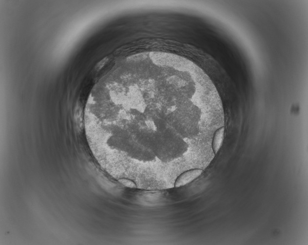 X0000115480479200912181213