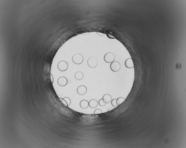 X0000115480480200912181213