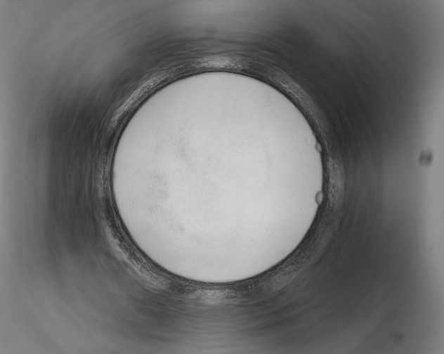 X0000115480482200912181212