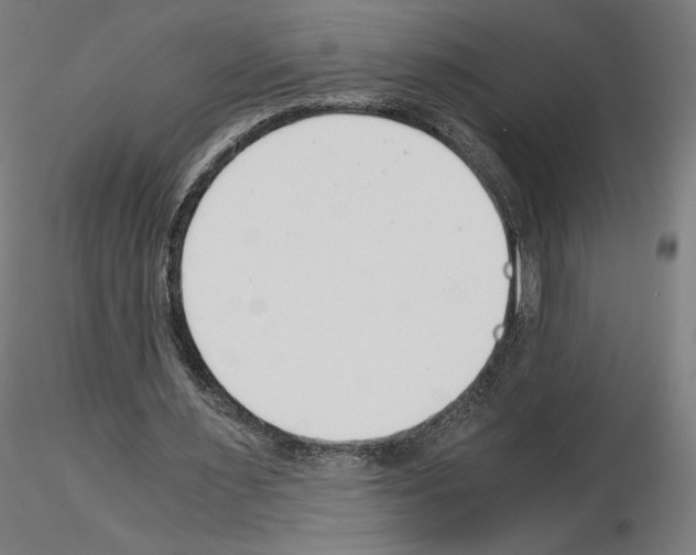 X0000115480483200912181212