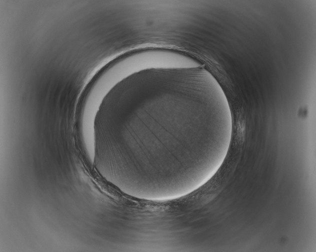 X0000115480484200912181212