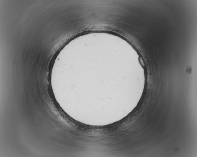 X0000115480485200912181212