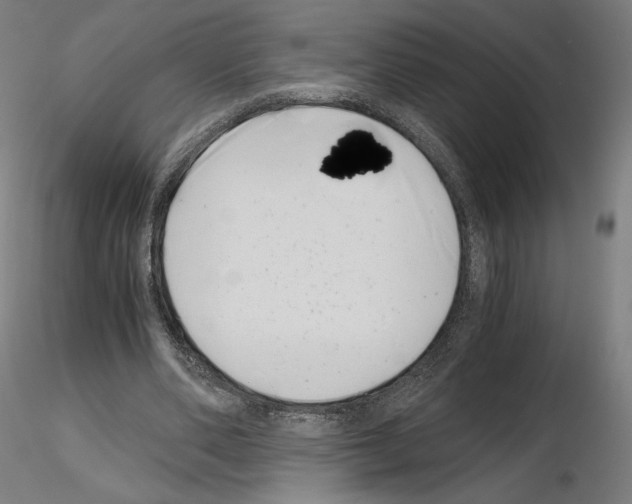 X0000115480486200912181212
