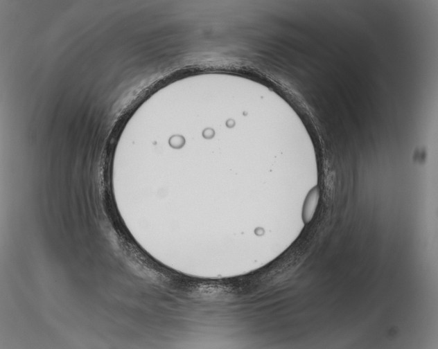 X0000115480487200912181212