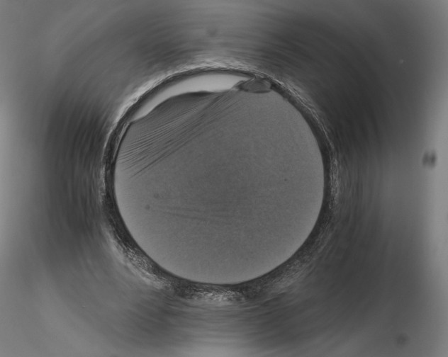 X0000115480488200912181212
