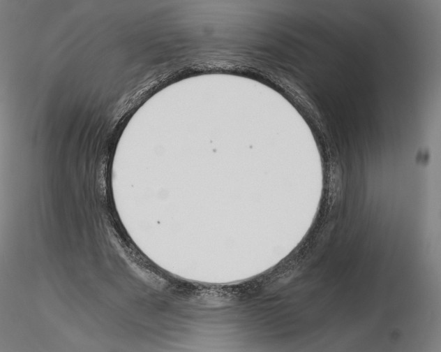 X0000115480489200912181212