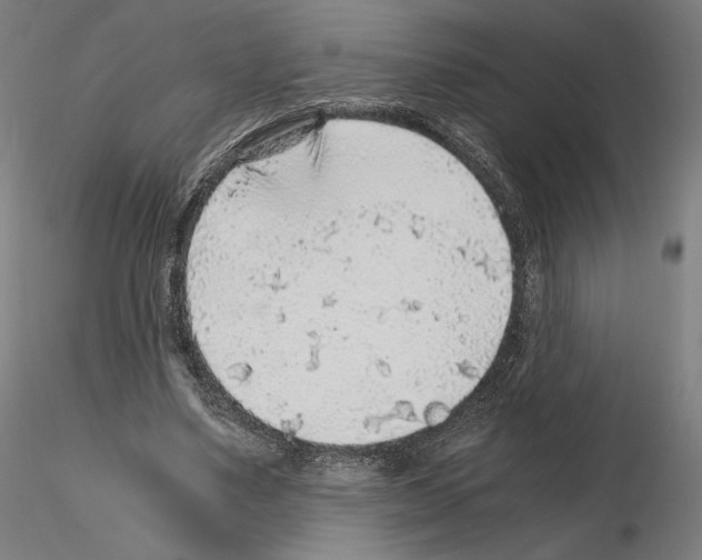 X0000115480491200912181212