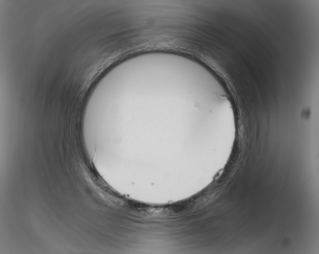 X0000115480493200912181212