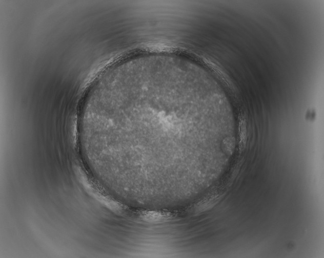 X0000115480494200912181212