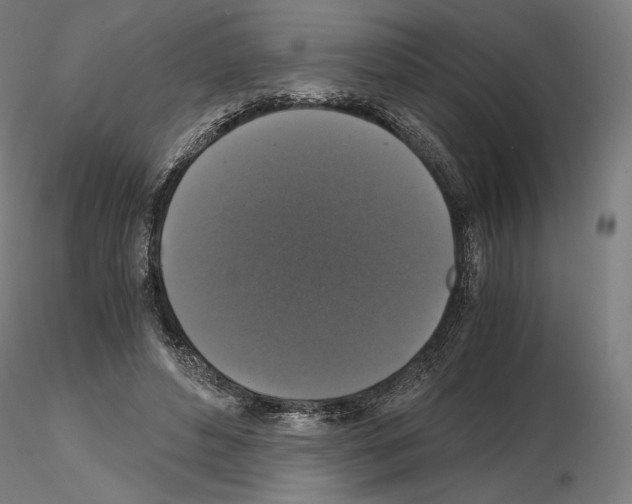 X0000115480496200912181212