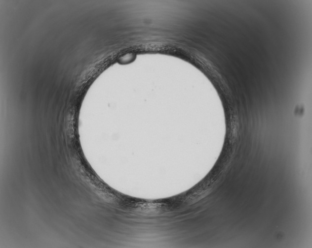 X0000115480497200912181212