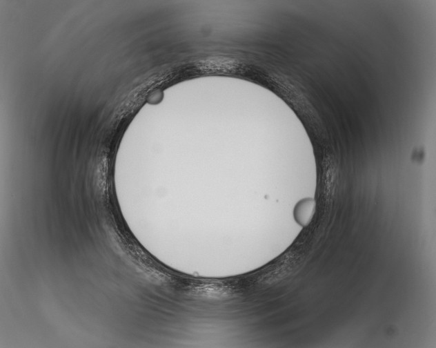 X0000115480498200912181212