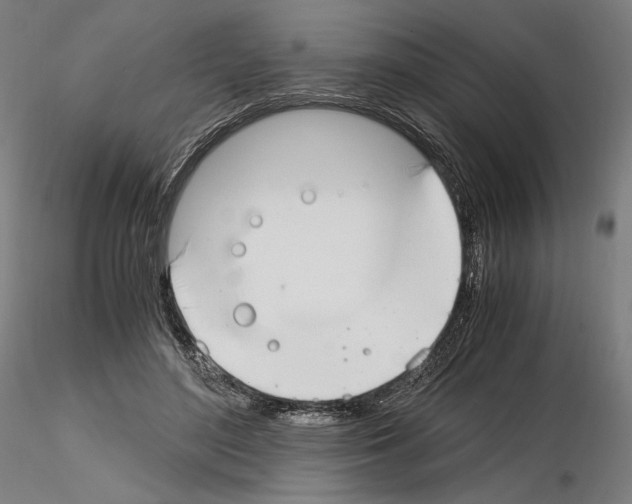 X0000115480500200912181212