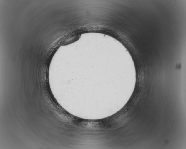 X0000115480501200912181212
