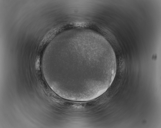 X0000115480502200912181212