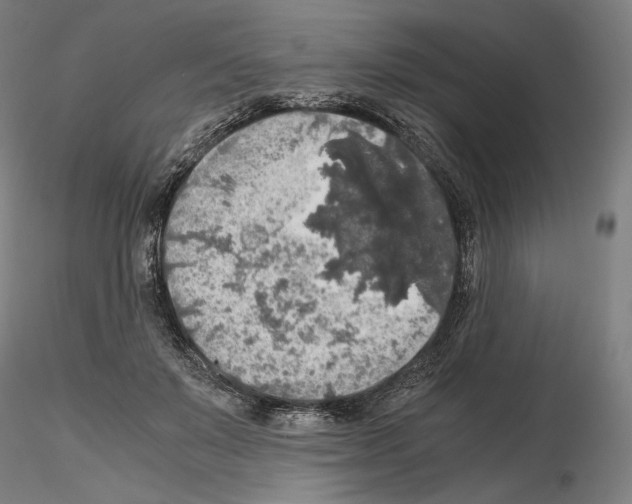 X0000115480503200912181212