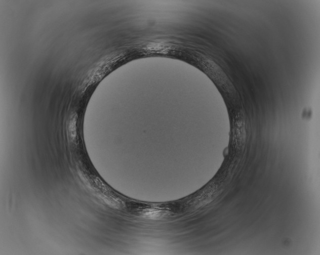 X0000115480504200912181212