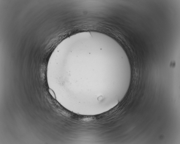 X0000115480505200912181212