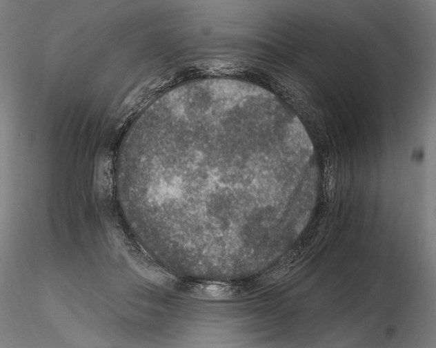 X0000115480506200912181212