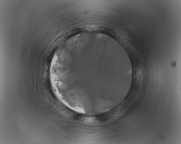 X0000115480507200912181212