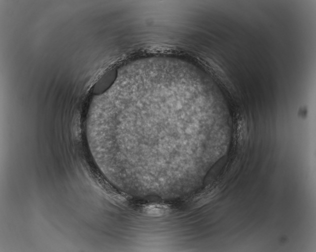 X0000115480508200912181212