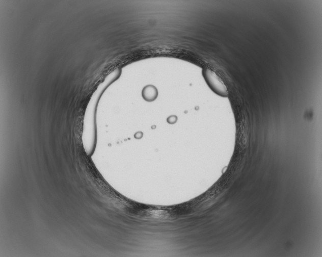X0000115480509200912181212