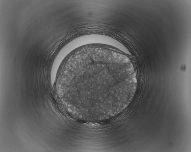 X0000115480512200912181212