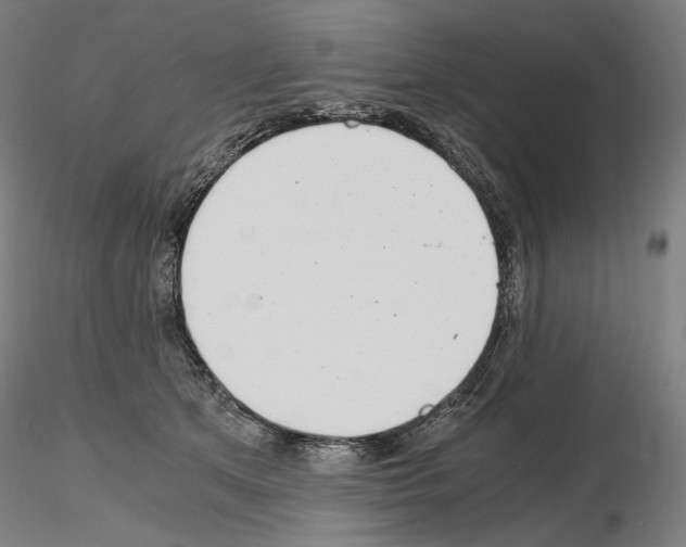X0000115480513200912181212