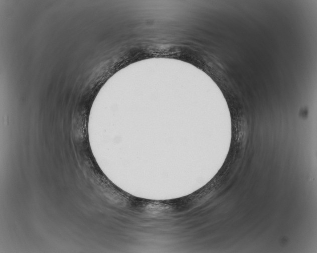 X0000115480515200912181212