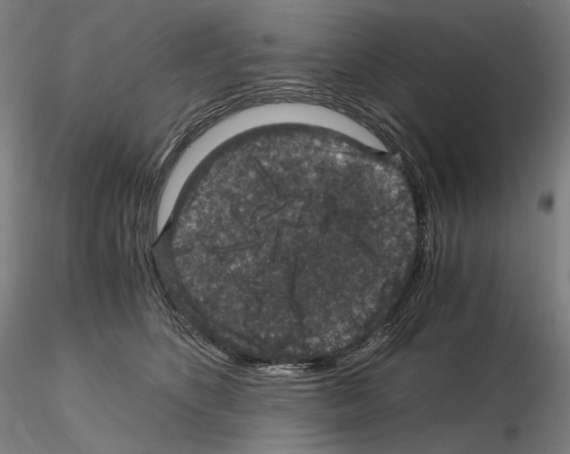 X0000115480516200912181212