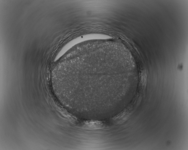 X0000115480517200912181212