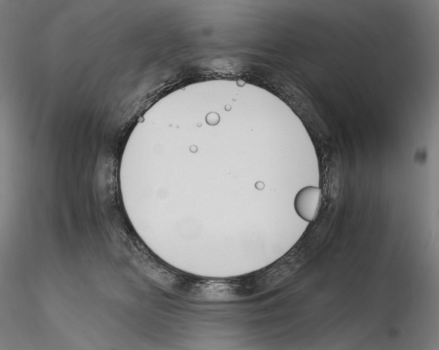 X0000115480518200912181212